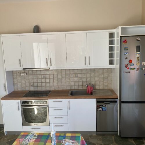 Photo 8-9-22, 4 31 56 PM